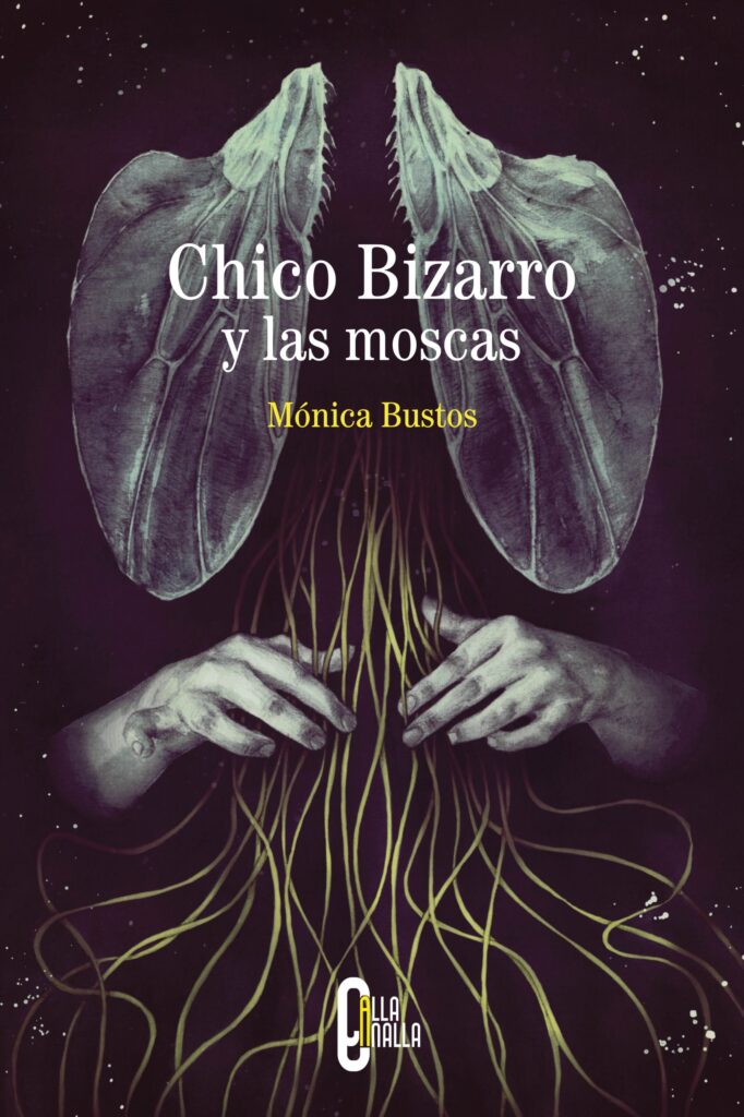 Chico Bizarro y las moscas. Mónica Bustos