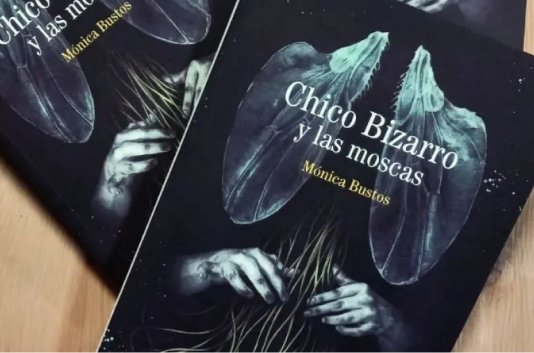 Diseño de cubierta «Chico Bizarro y las moscas» x Elisa Ancori