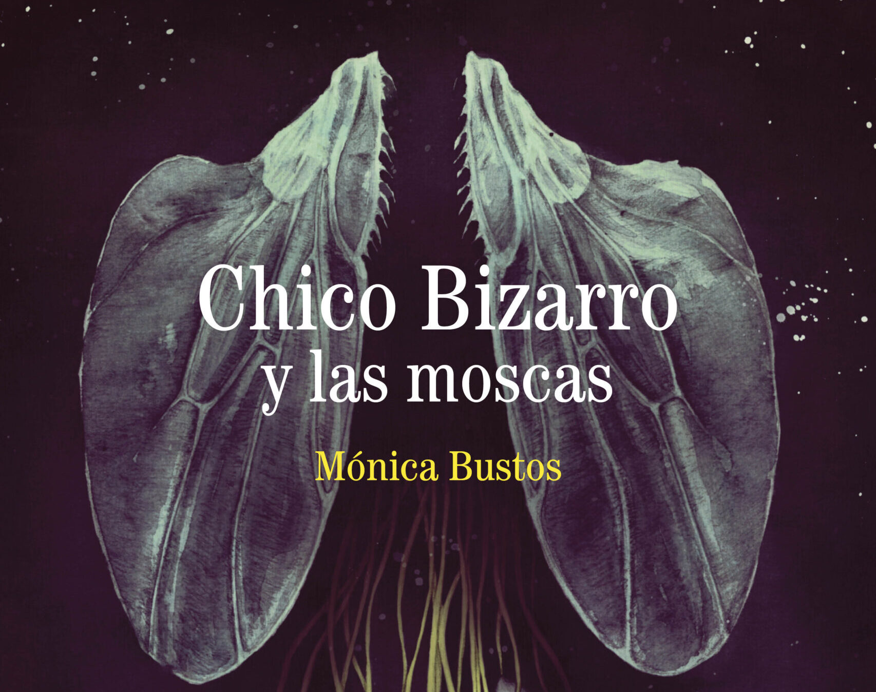 Una novela grandiosa: «Chico Bizarro y las moscas»